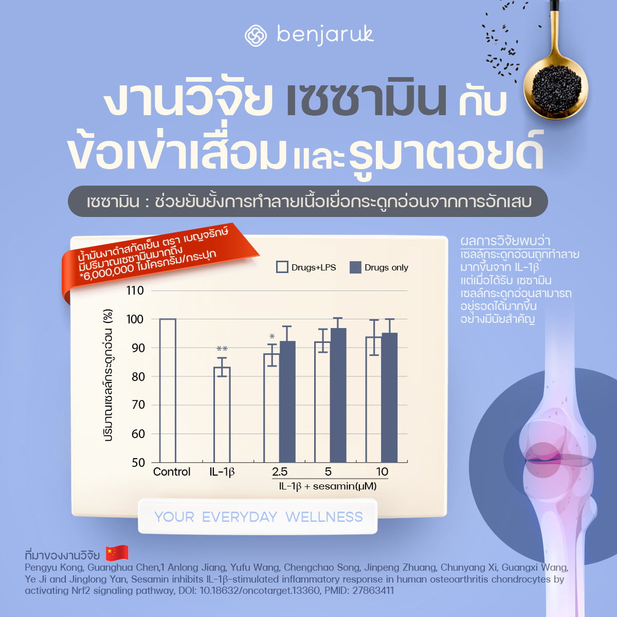 งานวิจัย เซซามิน กับ ข้อเข่าเสื่อมและรูมาตอยด์